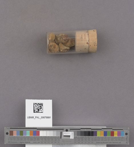 NSF ADBC EPICC TCN