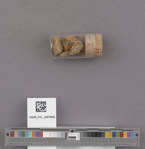NSF ADBC EPICC TCN
