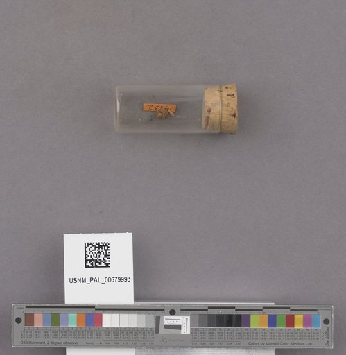 NSF ADBC EPICC TCN