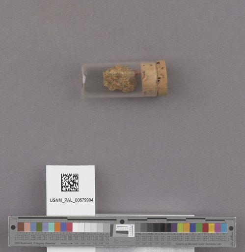 NSF ADBC EPICC TCN
