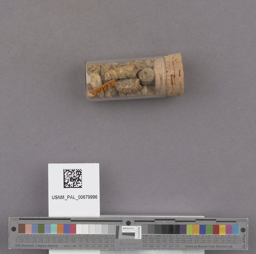 NSF ADBC EPICC TCN