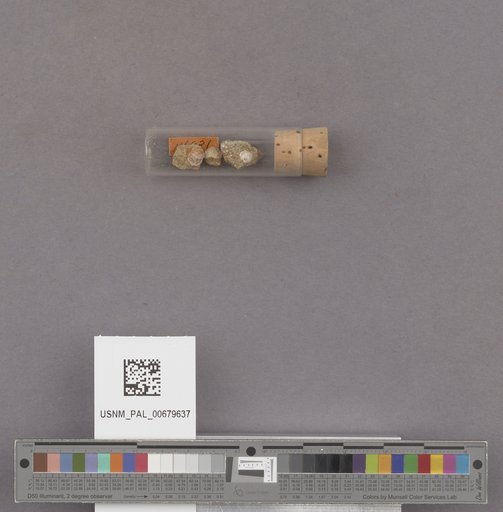 NSF ADBC EPICC TCN