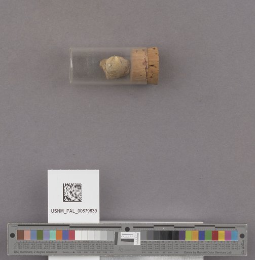 NSF ADBC EPICC TCN
