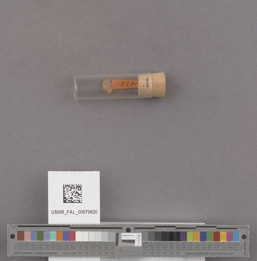 NSF ADBC EPICC TCN