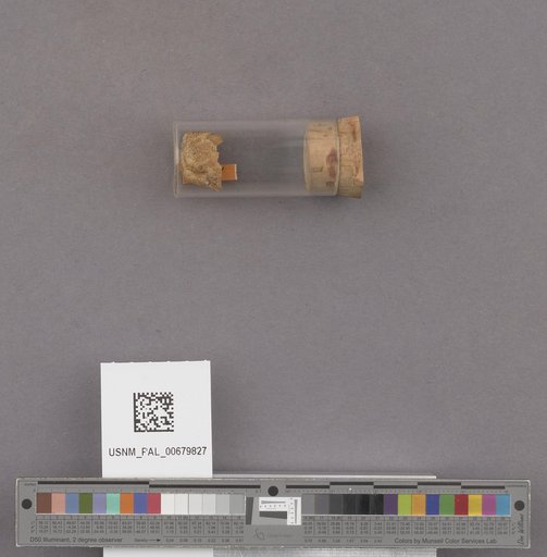 NSF ADBC EPICC TCN