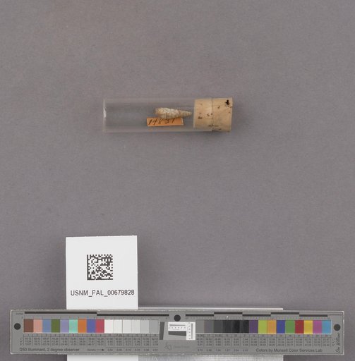 NSF ADBC EPICC TCN