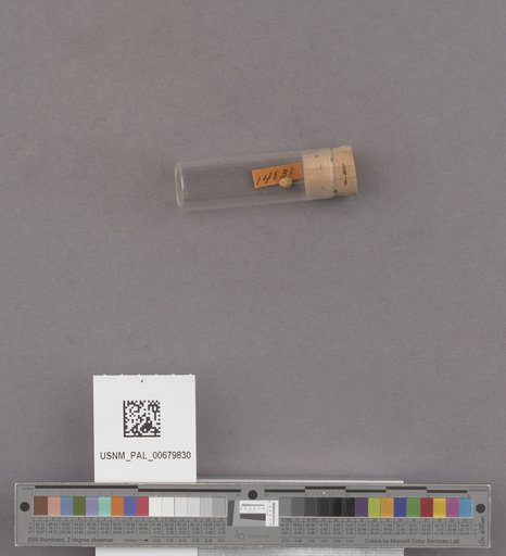NSF ADBC EPICC TCN