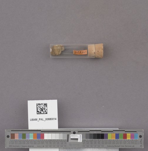 NSF ADBC EPICC TCN