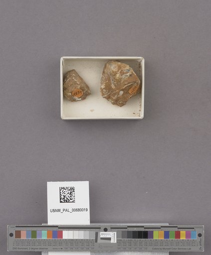 NSF ADBC EPICC TCN