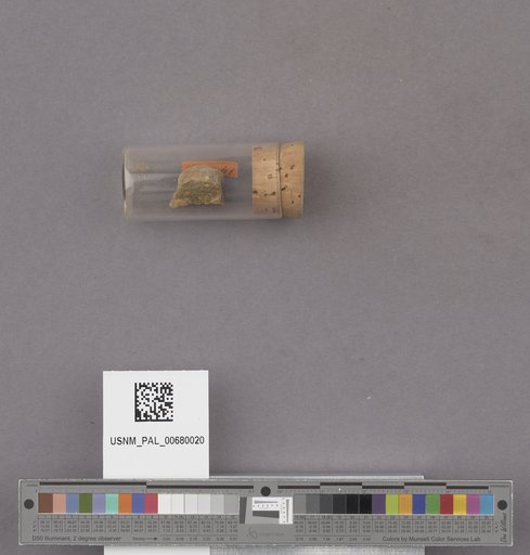 NSF ADBC EPICC TCN