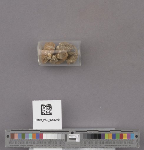 NSF ADBC EPICC TCN