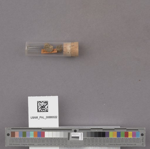 NSF ADBC EPICC TCN