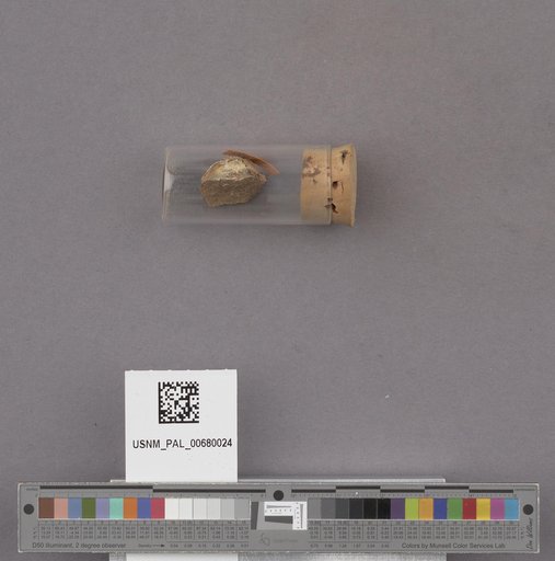 NSF ADBC EPICC TCN