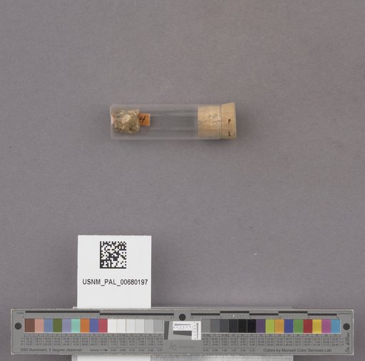 NSF ADBC EPICC TCN