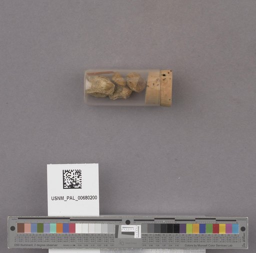 NSF ADBC EPICC TCN