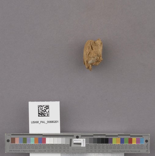 NSF ADBC EPICC TCN