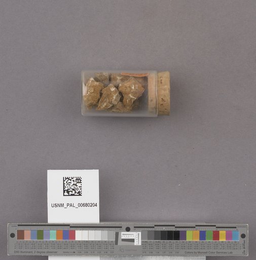 NSF ADBC EPICC TCN