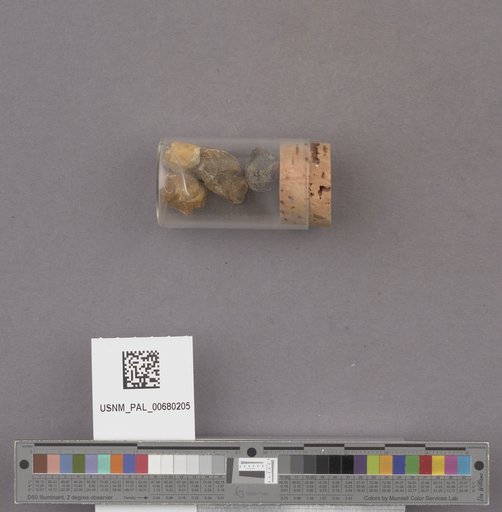 NSF ADBC EPICC TCN