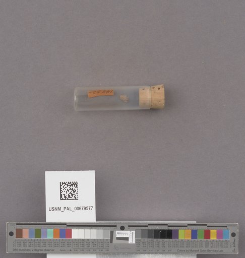 NSF ADBC EPICC TCN