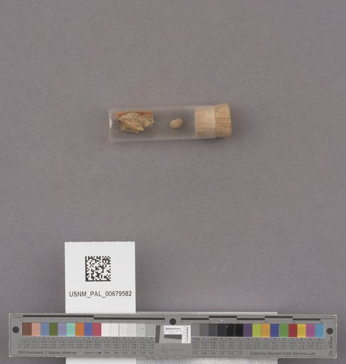 NSF ADBC EPICC TCN