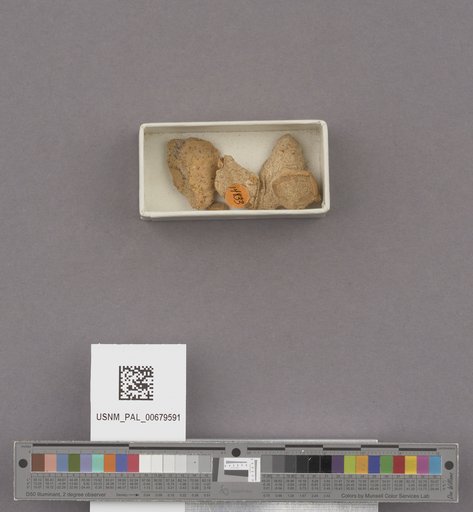 NSF ADBC EPICC TCN