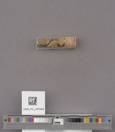 NSF ADBC EPICC TCN