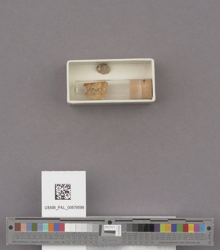 NSF ADBC EPICC TCN