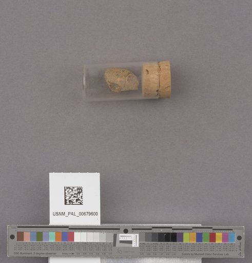 NSF ADBC EPICC TCN