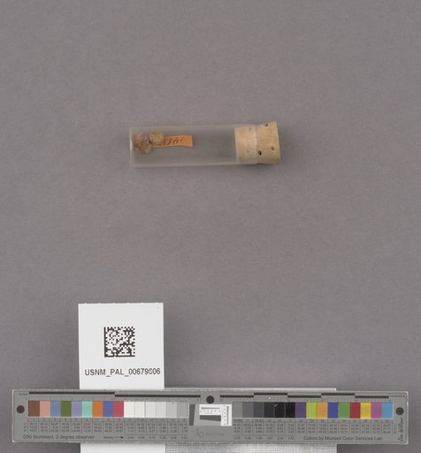 NSF ADBC EPICC TCN