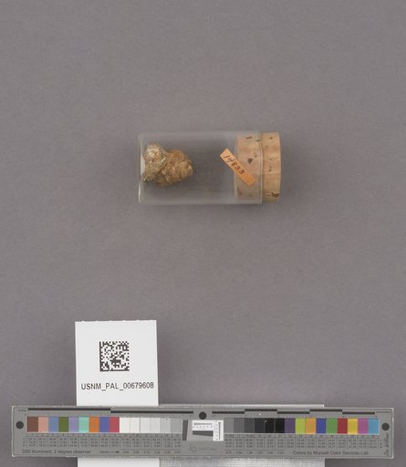 NSF ADBC EPICC TCN