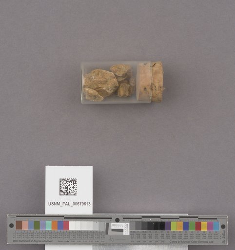 NSF ADBC EPICC TCN