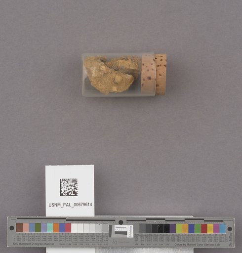 NSF ADBC EPICC TCN