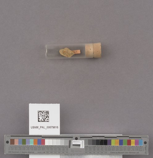 NSF ADBC EPICC TCN