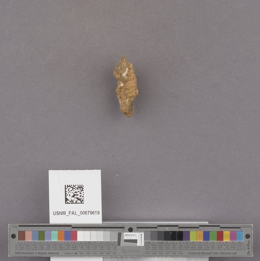 NSF ADBC EPICC TCN