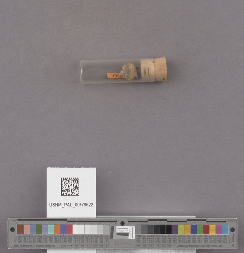 NSF ADBC EPICC TCN