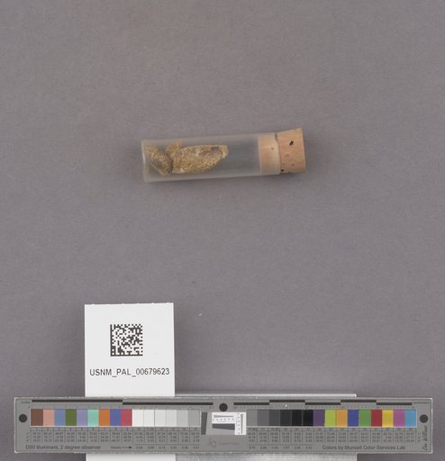NSF ADBC EPICC TCN