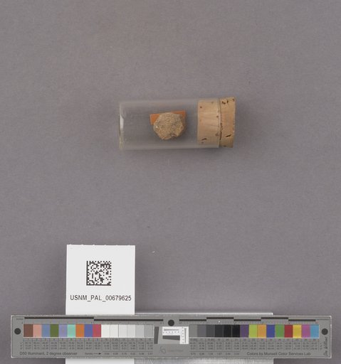 NSF ADBC EPICC TCN