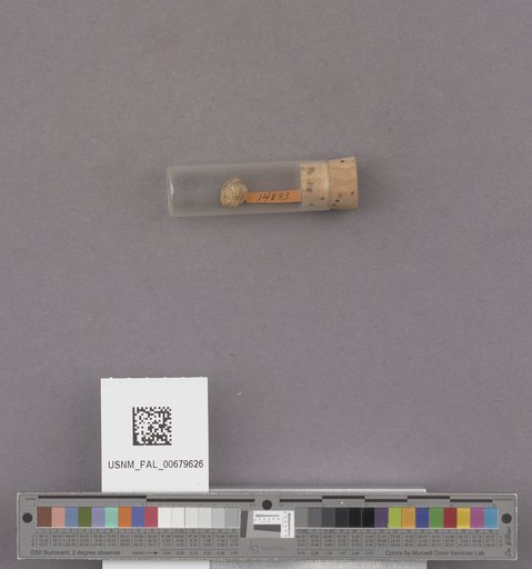 NSF ADBC EPICC TCN