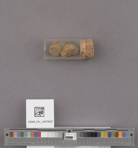 NSF ADBC EPICC TCN