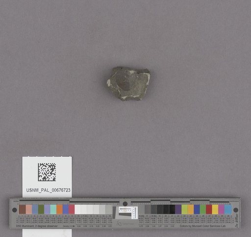 NSF ADBC EPICC TCN