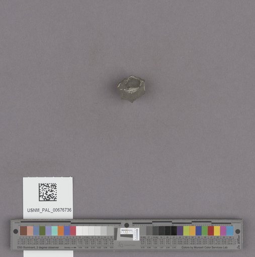 NSF ADBC EPICC TCN