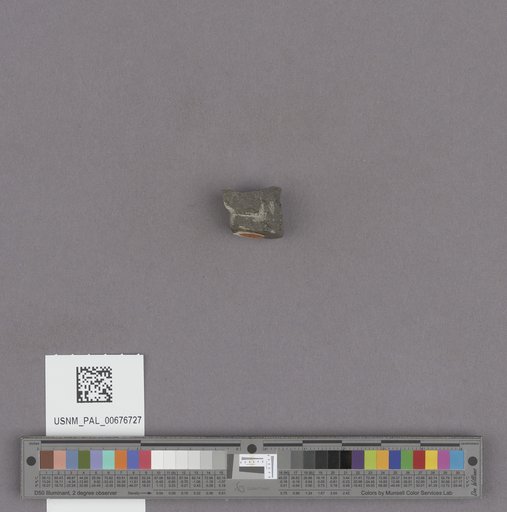 NSF ADBC EPICC TCN