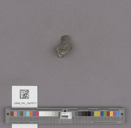 NSF ADBC EPICC TCN