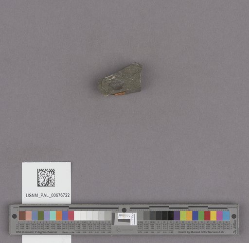 NSF ADBC EPICC TCN