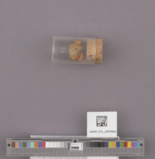 NSF ADBC EPICC TCN