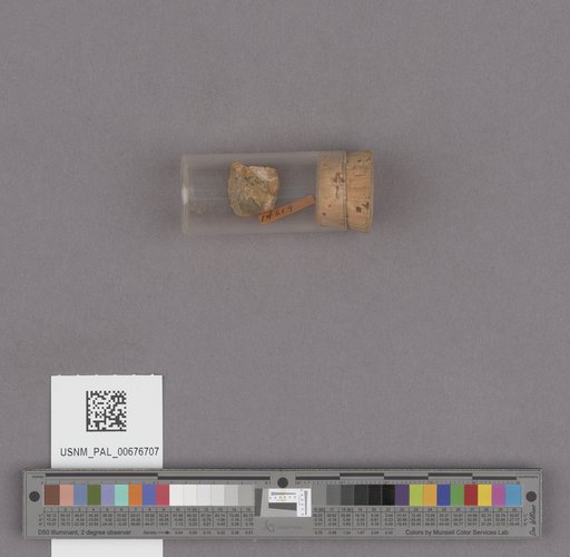 NSF ADBC EPICC TCN