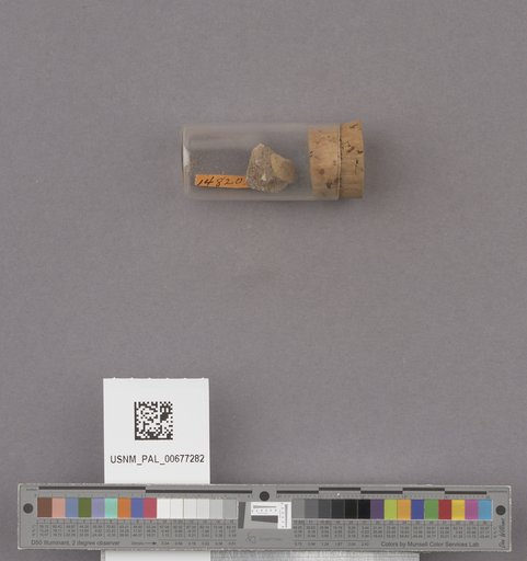 NSF ADBC EPICC TCN