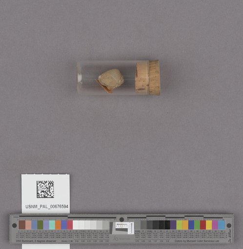 NSF ADBC EPICC TCN