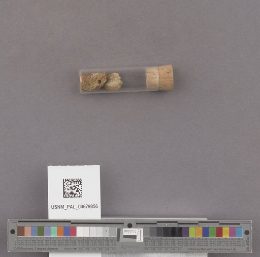 NSF ADBC EPICC TCN