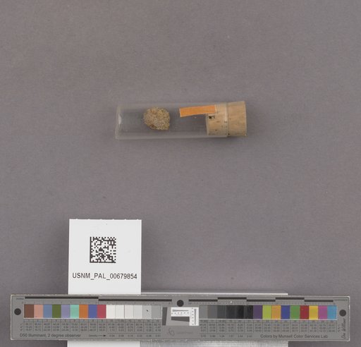 NSF ADBC EPICC TCN